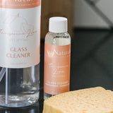 Glass Cleaner